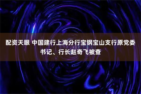 配资天眼 中国建行上海分行宝钢宝山支行原党委书记、行长赵奇飞被查