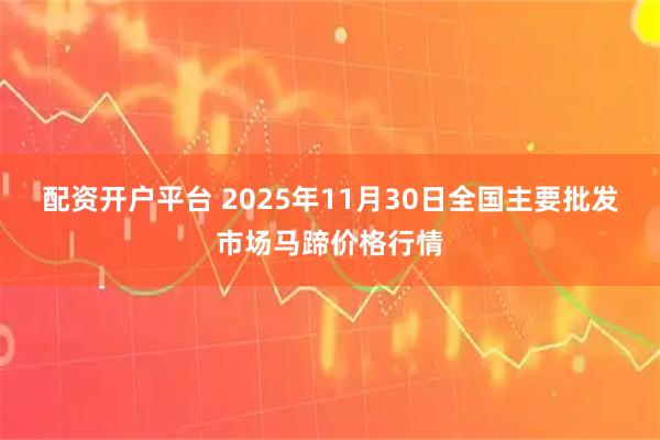 配资开户平台 2025年11月30日全国主要批发市场马蹄价格行情