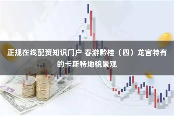 正规在线配资知识门户 春游黔桂（四）龙宫特有的卡斯特地貌景观